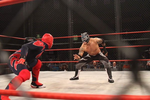 Cruiserweight Championship Match